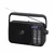 Panasonic Radio RF-2400DEG-K