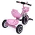 ECOTOYS Tricikl sa neklizajućim rukohvatima, zvoncem i korpom, Roze