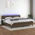 vidaXL Box spring postelja z vzmetnico LED temno rjava 200x200cm blago