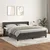 Vidaxl Box spring postelja z vzmetnico temno siva 180x200 cm žamet