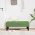 klupa s jastukom Svijetlo zelena 113 x 57 x 39 cm Baršun