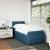 vidaXL vidaXL Box spring postelja z vzmetnico modra 90x190 cm žamet, (21307761)
