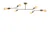Conceptum Hypnose Luster Sparrow-1241, 95x48 cm, 6xE27, 40W, Zlatne boje