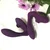 InToYou Rush Nova Vibrator and Clitoral Stimulator Purple