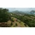Tropico 7 (XBOX Series X)