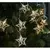 Solight 1v271 - LED lanac 10xLED/2xAA 1,8m topla bela
