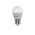 Esperanza Esperanza LED žarnica G45 E27 5W, topla bela