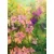 Tapeta akvarelna risba rastline - 196x270
