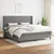 Vidaxl Box spring postelja z vzmetnico temno siva 200x200 cm blago