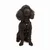 Paws & Whiskers Am za pse Air-Mesh, Braon