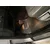 Rubber car mats BMW 5 2003-2010 (E60, E61)