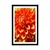 Plakat s paspartujem oranžna dalija - 40x60 no frame