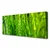 tulup.si Slika na platnu Grass nature rastlin 120x60 cm