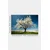 Slika Wallity 12334645-5070, 50x70 cm