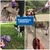 Dogness Povodac za pse L, 5 m, Crveni