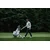 Golf stand bag Big Max Dri Lite Hybrid Prime