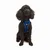 Paws & Whiskers Am za pse Air-Mesh, Plavi
