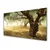 tulup.si Steklena slika Tree grass nature 100x50 cm 2 obešalnika