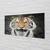 tulup.si Steklena slika Tiger 100x50 cm 4 obešalnika