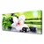 tulup.si Slika na platnu Orchid bamboo listi 120x60 cm