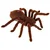 Aga Daljinsko vodeni pajek TARANTULA + PILOT