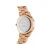Daniel Wellington Ročna ura Link DW00100213 Zlata