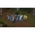 RAVENSCOURT Igrica XBOXONE Ash of Gods: Redemption