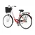 Bicikl Fashion Visitor Bloom 28 Alu 17 V-Brake Kontra Kontra Quanda 155-178cm (S/M) Crveno Beli P