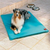 Canine Cooler pet bed