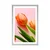 Plakat s paspartujem elegantni tulipan - 60x90 no frame