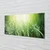 tulup.si Slika na steklu Grass sonce kapljice 120x60 cm 2 obešalnika