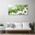 tulup.si Slika na steklu Grass nature dew drops 100x50 cm 2 obešalnika