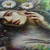 Slika sanjava lepota narave - 40x40