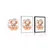 Plakat zasanjana koala - 20x30 white