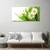 tulup.si Slika na platnu Daisy flower narava 100x50 cm
