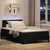 vidaXL Box Spring postelja z vzmetnico in LED Črna 120x200 cm Žamet