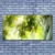 tulup.si Slika na akrilnem steklu Apple tree branch narava 140x70 cm 4 obešalnika