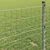 Vidaxl Evropska ograja 0,4 x 50 m PVC prevlečen železo