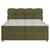 Boxspring Krevet Bianco 160/200 cm , zelena