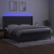 Vidaxl Box spring postelja z vzmetnico LED temno siva 200x200 cm žamet
