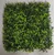 Lilijum Panel od vestackog zelenila za zeleni zid 50*50cm 569020