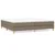 Vidaxl Box spring postelja z vzmetnico taupe 200x200 cm blago