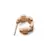 DANIEL WELLINGTON DW00400960