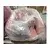 ATELIER DEL SOFA Fotelja Eses Pink OUTLET