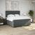 Vidaxl Box spring postelja z vzmetnico temno siva 200x200 cm blago