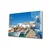 Slika Wallity 5718, 46x72 cm