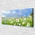 tulup.si Slika na platnu Daisy travnik narava 120x60 cm