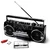 RICATECH radio PR1980 Ghettoblaster
