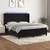 Vidaxl Box spring postelja z vzmetnico LED črna 160x200 cm žamet