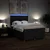 vidaXL Box spring postelja z vzmetnico črna 160x200 cm blago